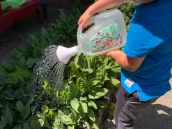 Watering Can from Arizon Tea jar