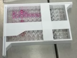 Well Plate Rulers
