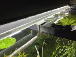 Aquarium Juwel 450 floating plants barrier