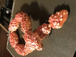 Articulated Dragon