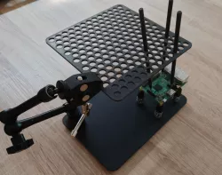 BDM Probe Mesh