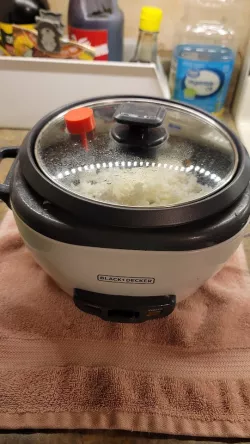 Black and Decker Ricer Cooker Plug