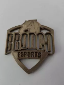 Bronco Esports Logo