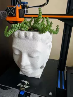 Buddha head planter