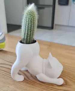 Cat Cactus Pot