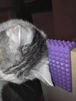 Cat scratcher
