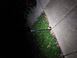 Garden/Pathway Light (LED)