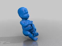 Human foetus