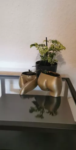 Naked Girl Pots (standing+sitting)