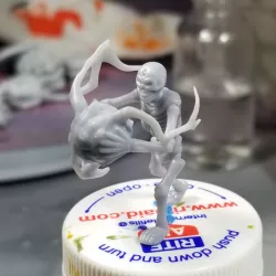 Nova Skeleton