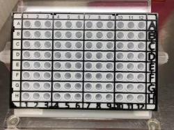 PCR qPCR Plate Loading Guide