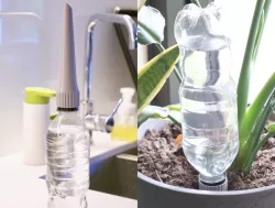 PET Bottle Self-Watering Attachment - PET Bottle Upcycling