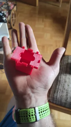 Square/Cube Tomato