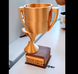 "World's Best CSS Developer" Trophy