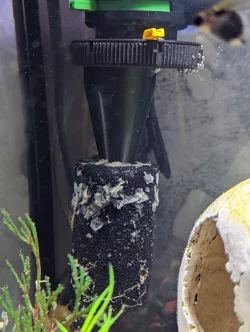 Aquaclear 50 Pre-filter Adapter