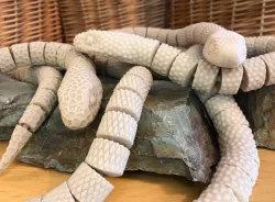 articulated snakes