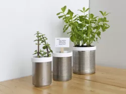 Campbell Planter - Fully 3D Printed Self-Watering Planter