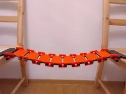 Cat Walking Bridge (fully Printed)