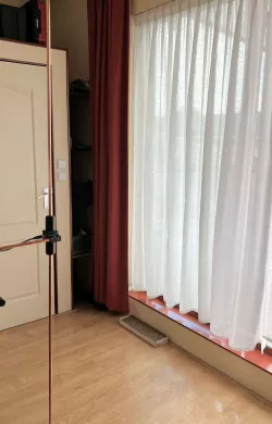Dipole Antenna