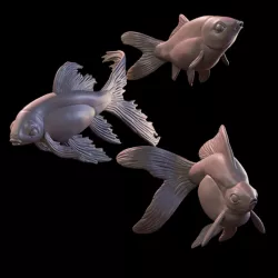 Goldfish Trio 2