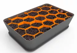 Hexa Seed