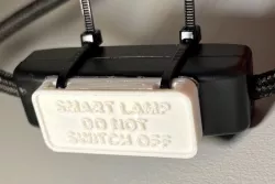 Lamp switch guard
