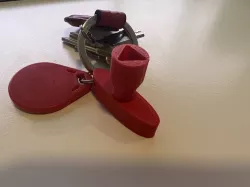 Litter Box Key (triangular) with keychain