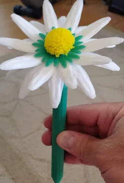 Pen Stem for flat flower Daisy