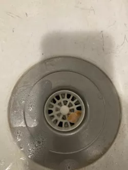Removable 40mm sink drain screen.
