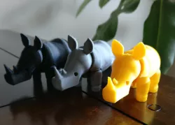 Rhino