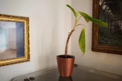 sleek planter