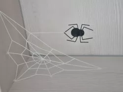 Spider and -Web