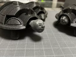 Thomas the Squishy Turtle