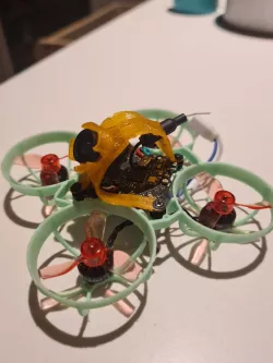 Tiny Whoop Canopy