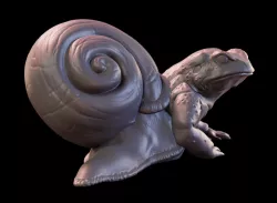 Toadsnail