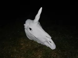 Unicorn Skull 600 mm