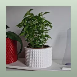Vase Pot Planter Cachepot 2