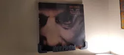 Vinyl Record Wall Display