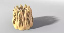 Volex 1