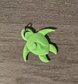 Wavy Sea Turtle