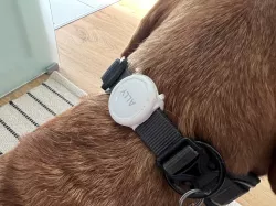 Airtag dog collar mount