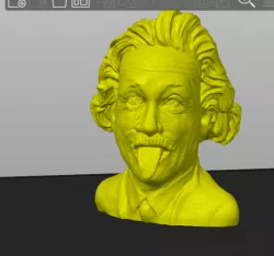 Albert Einstein Buste