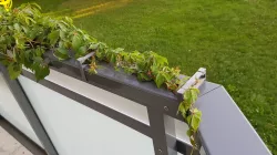 Balcony Branch Clamps