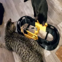 cat toy race track V2