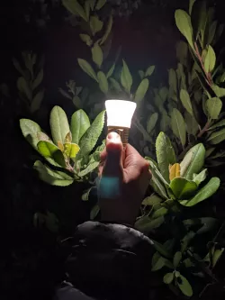 Emisar D4V2 Flashlight Diffuser