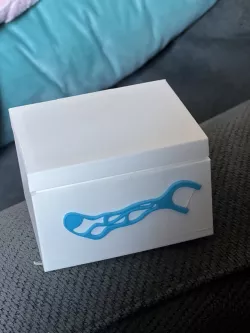 Flosser box
