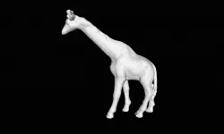 GIRAFFE (GENERATED BY REVOPOINT POP)