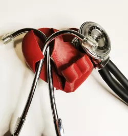 Heart stethoscope holder