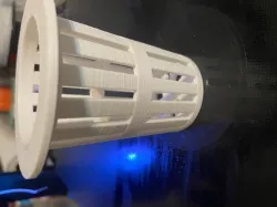 Hydroponic basket