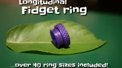 Longitudinal fidget ring